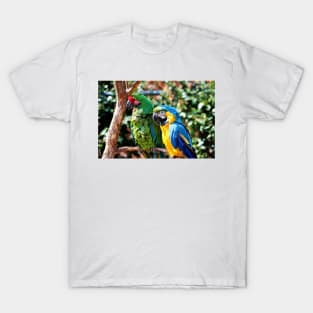 Macaw Parrots T-Shirt